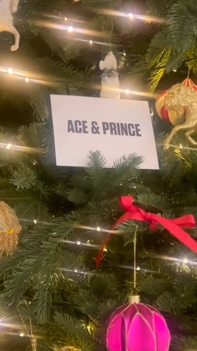Post 7 by Ace & Prince on Instagram (video)