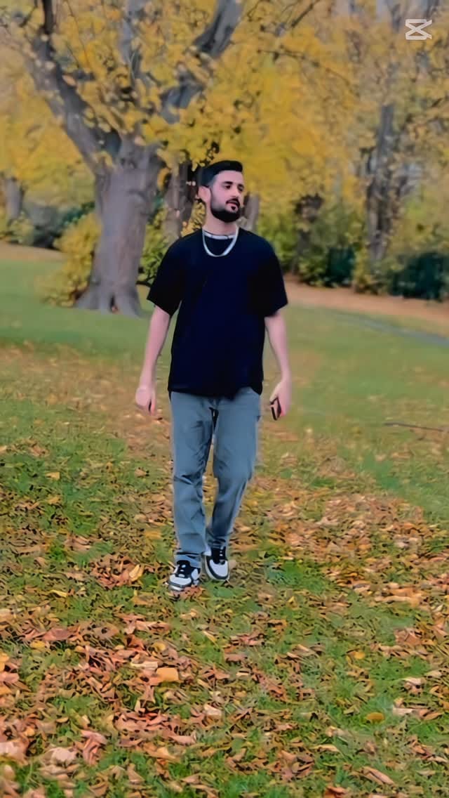 Post 7 by ꪑꪮꫝᦓꪖꪀ ᛕꫝꪖꪀ🥀۔ on Instagram (video)