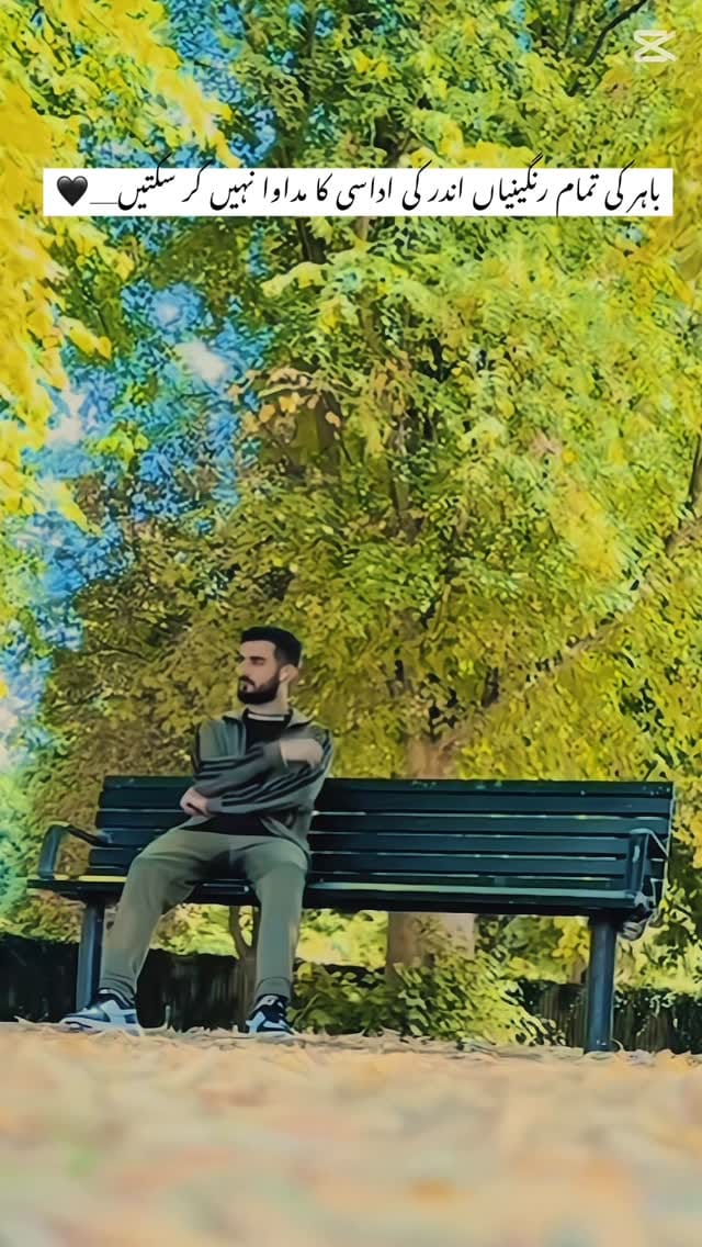 Post 5 by ꪑꪮꫝᦓꪖꪀ ᛕꫝꪖꪀ🥀۔ on Instagram (video)