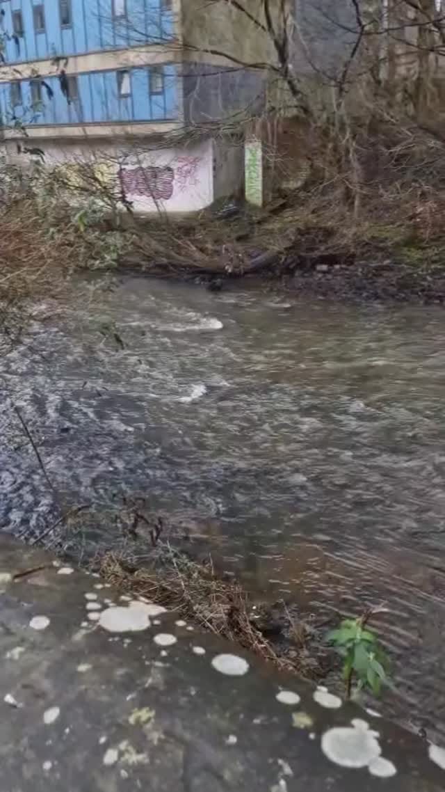 Post 2 by The Crumbleologist on Instagram (video)