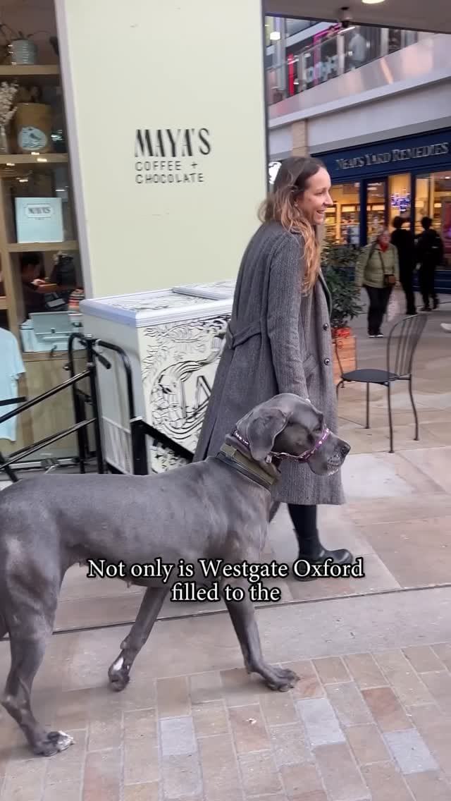 Post 3 by Westgate Oxford on Instagram (video)