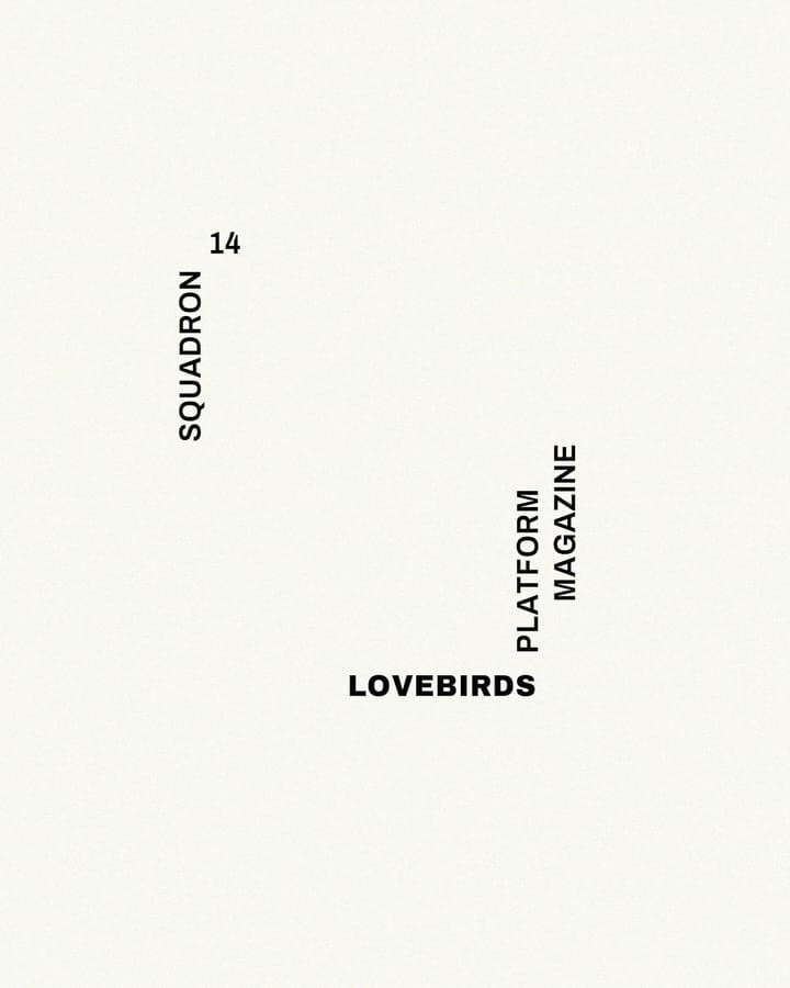 Post 4 by LOVEBIRDS on Instagram (carousel)