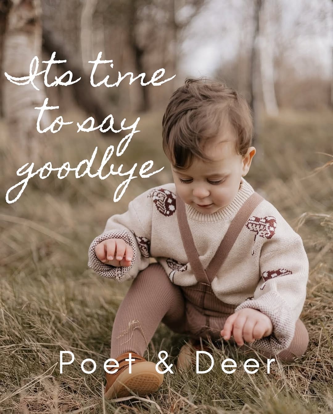 Post 1 by Poet & Deer on Instagram (image)