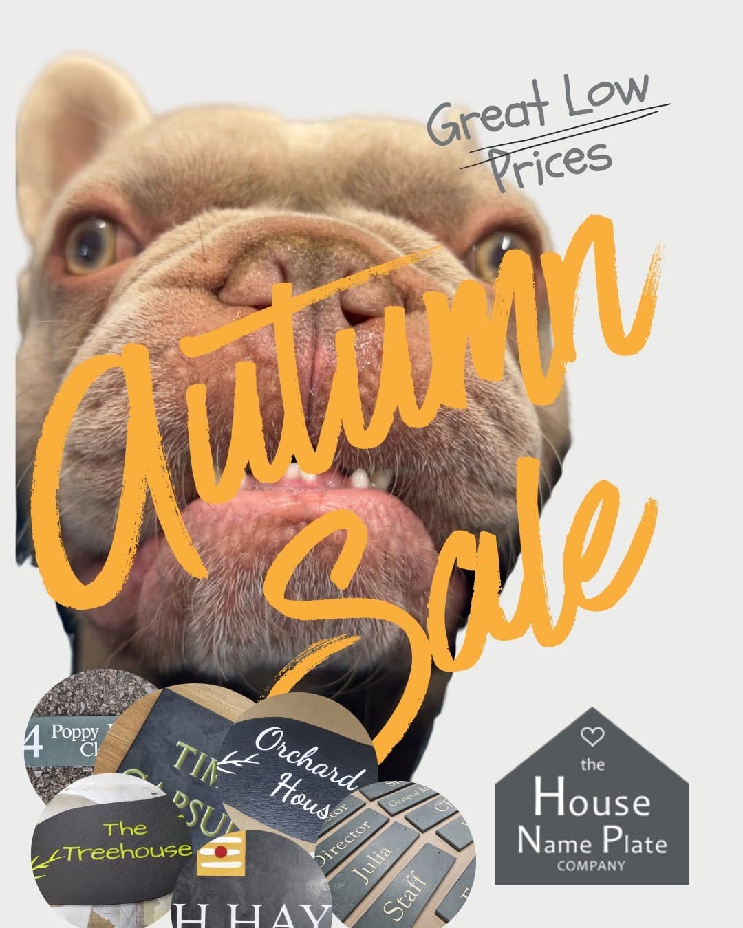 Post 9 by House Nameplate on Instagram (image)
