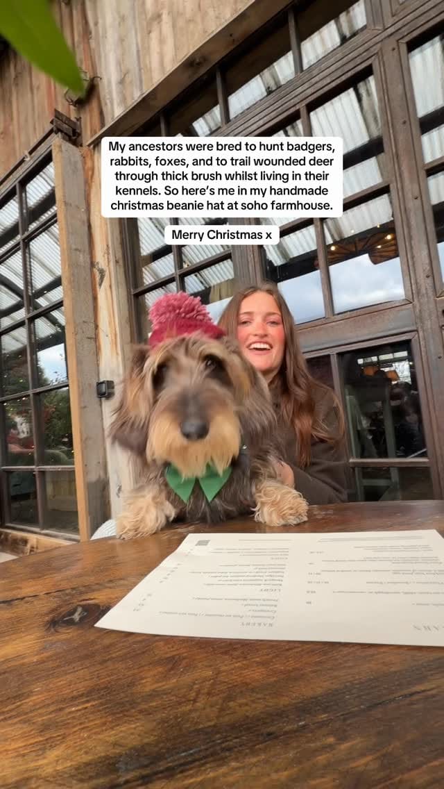 Post 4 by Tallulah The Truflett on Instagram (video)