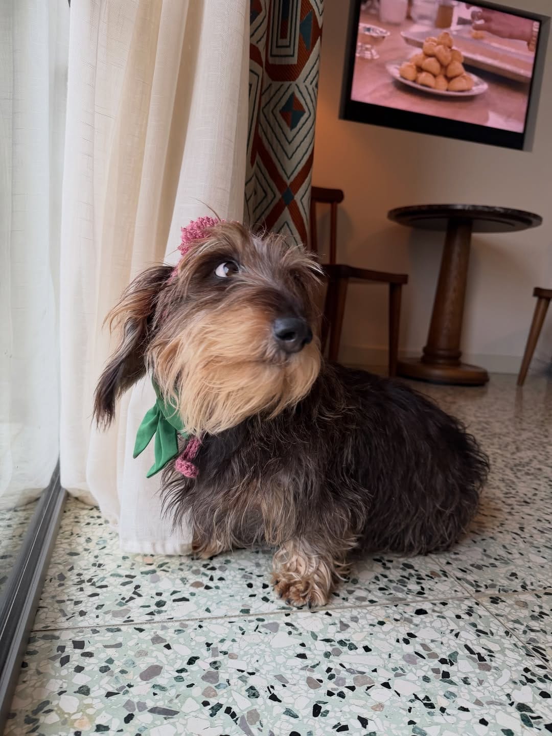 Post 3 by Tallulah The Truflett on Instagram (carousel)