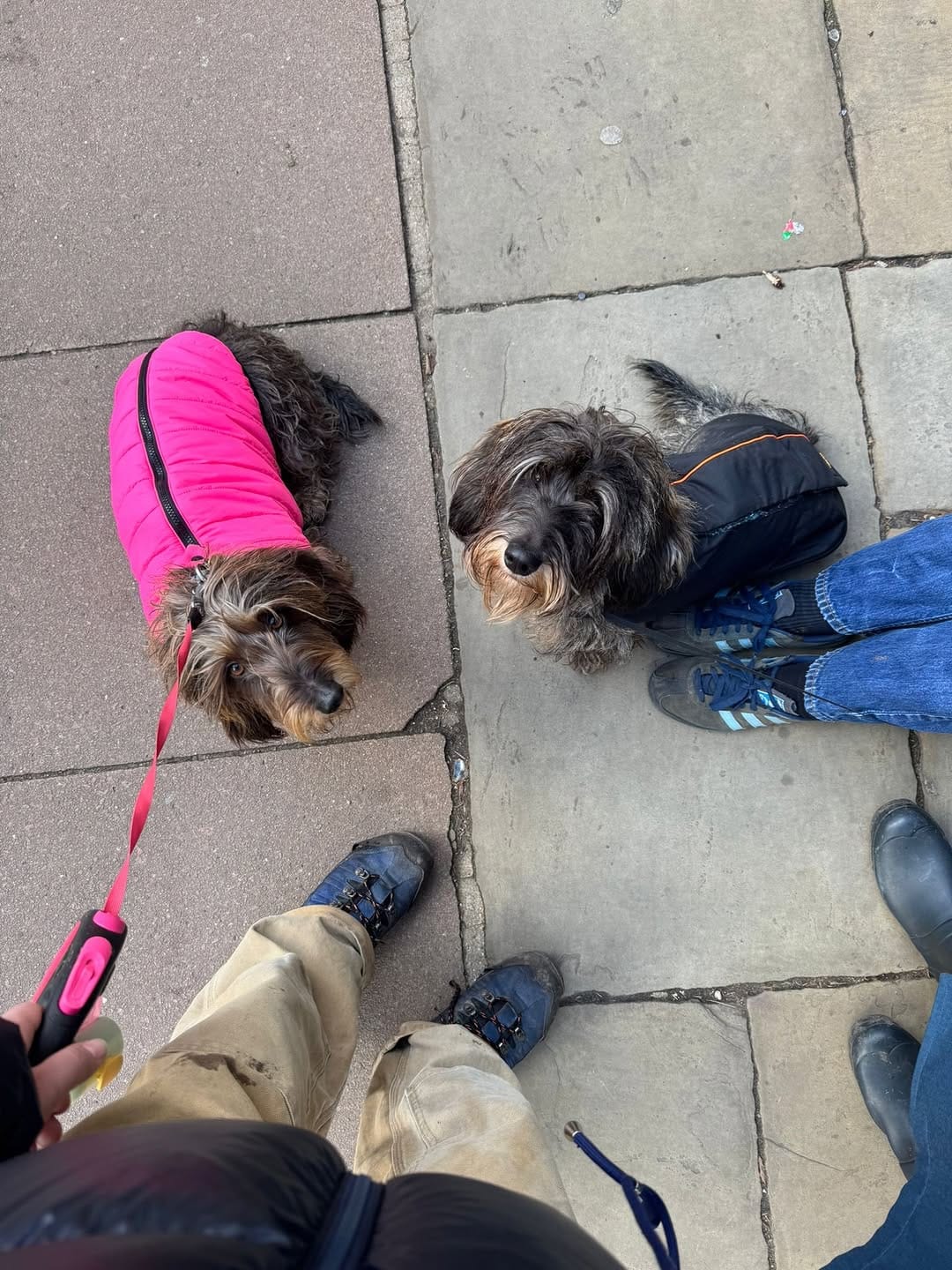 Post 5 by Tallulah The Truflett on Instagram (carousel)