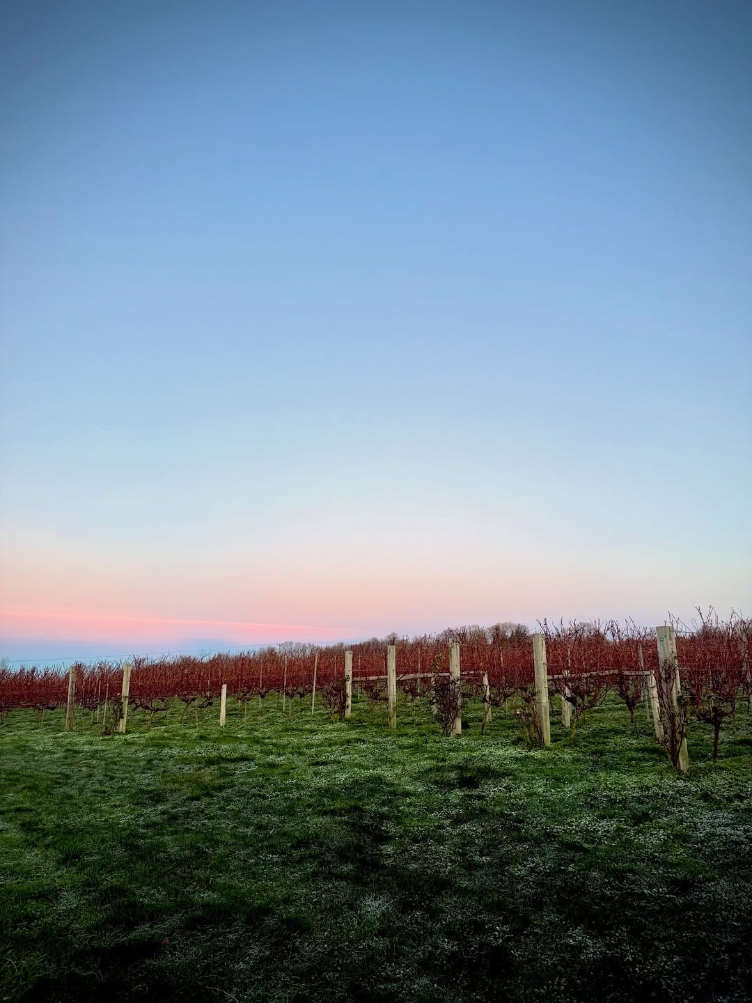 Post 2 by Langham Wine Estate on Instagram (image)