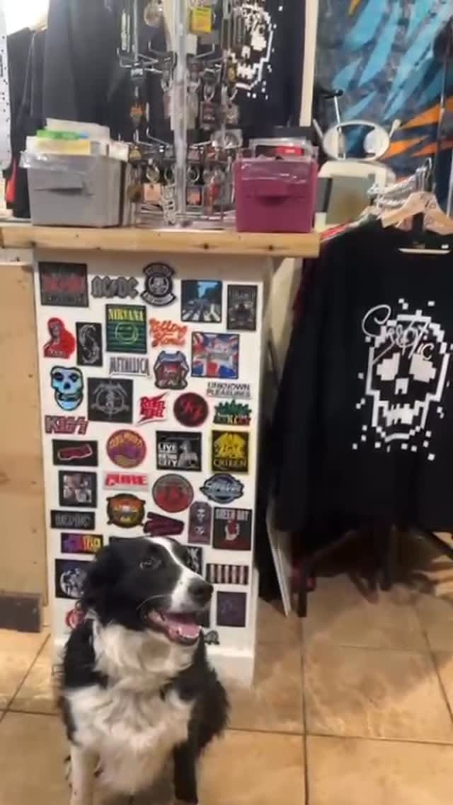 Post 2 by ERRATIC on Instagram (video)