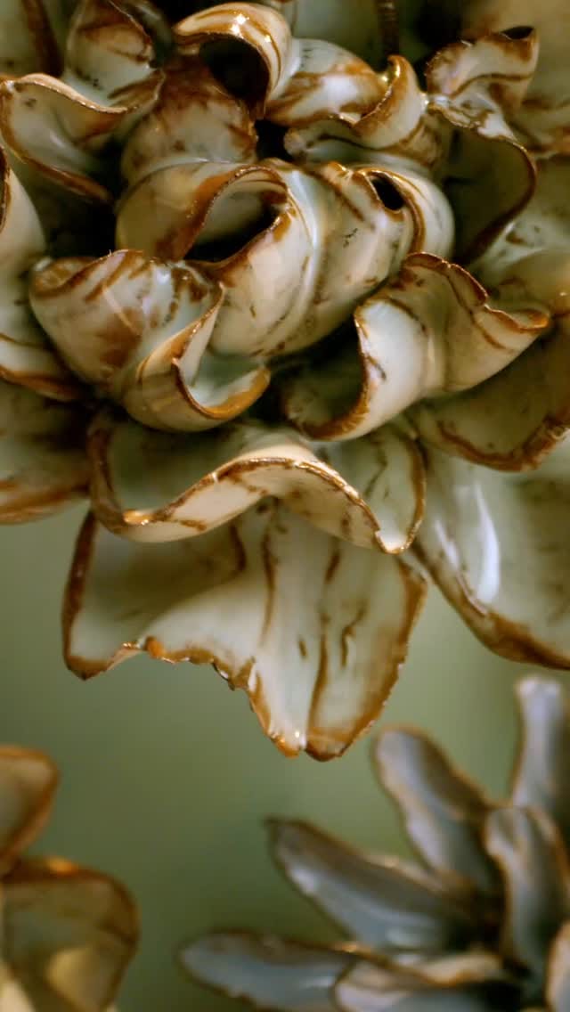 Post 6 by Chive Inc on Instagram (video)
