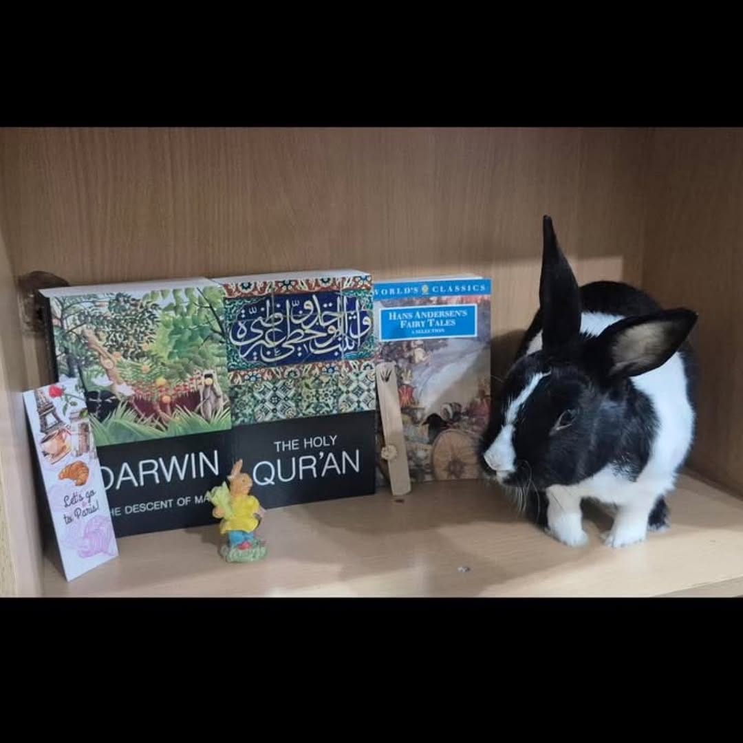 Post 7 by (New Book Sale) نیو بوک سِیل on Instagram (carousel)