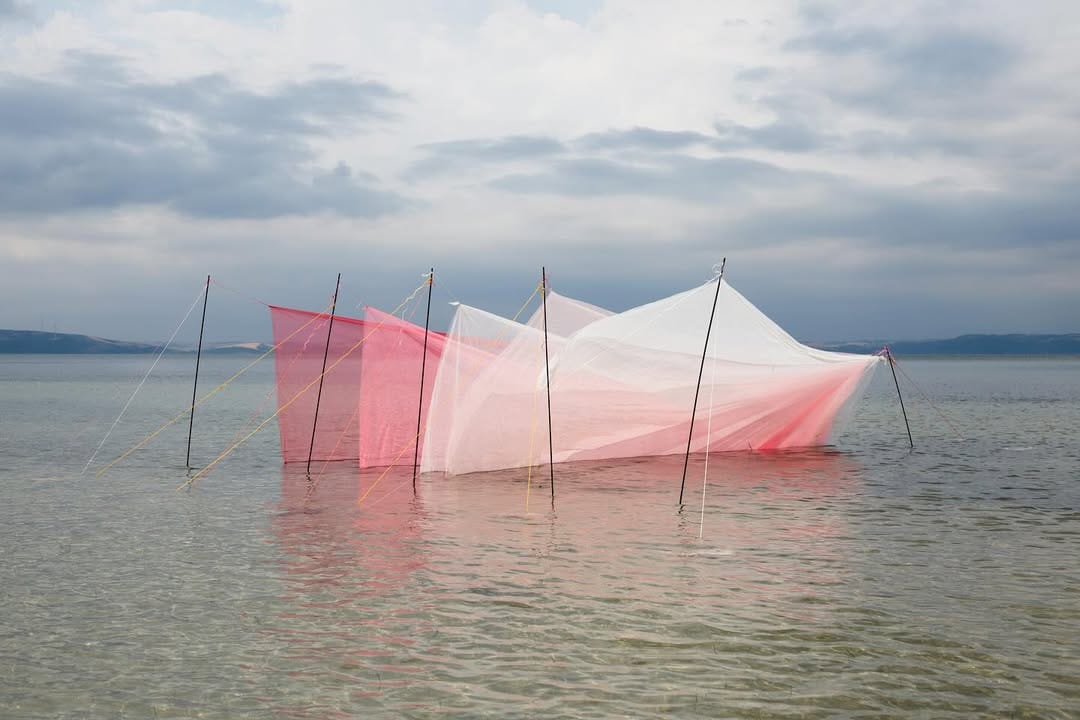 Post 5 by Tuğcan Dökmen Koch on Instagram (image)