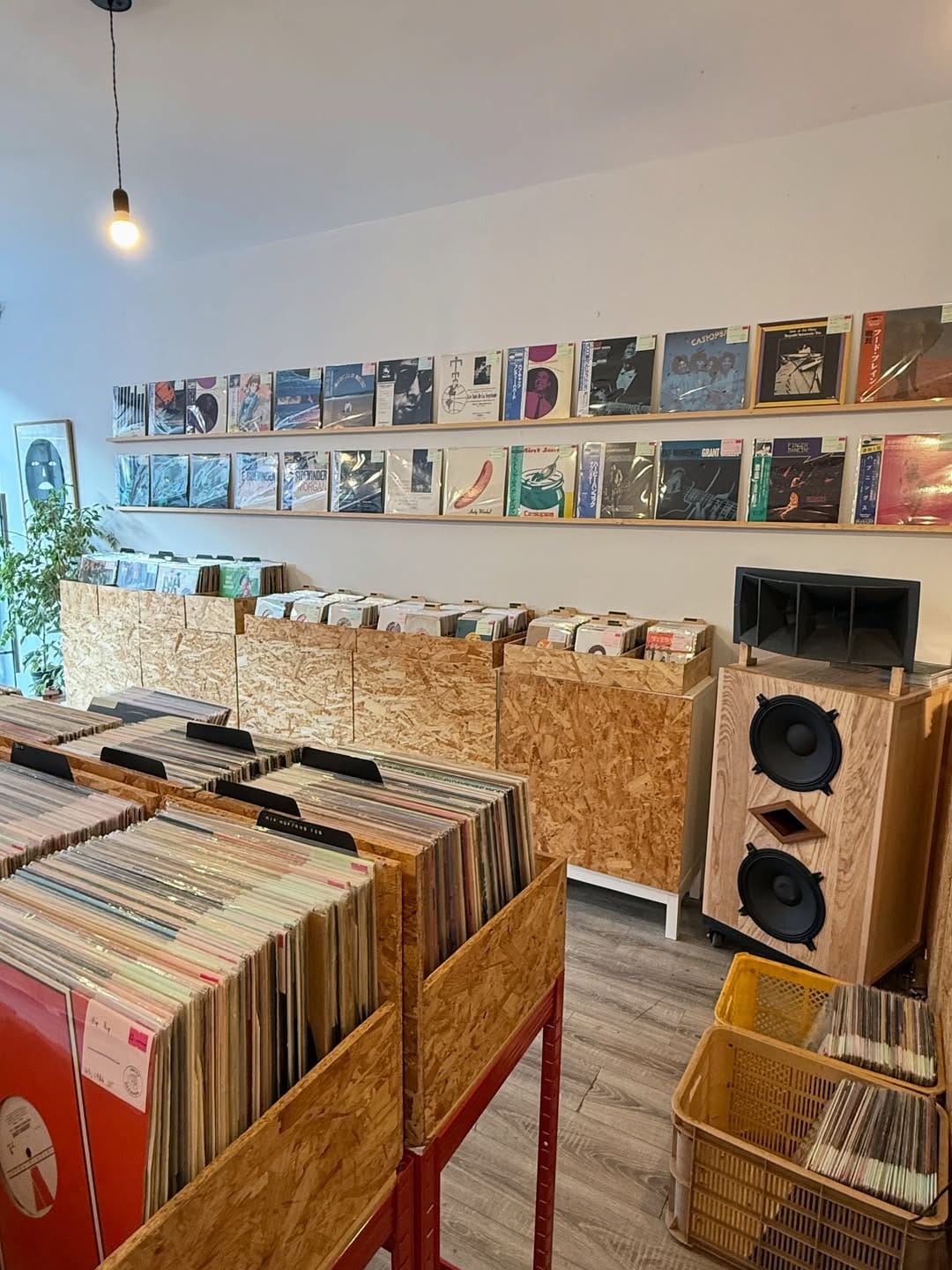 Post 3 by Jelly Records on Instagram (image)