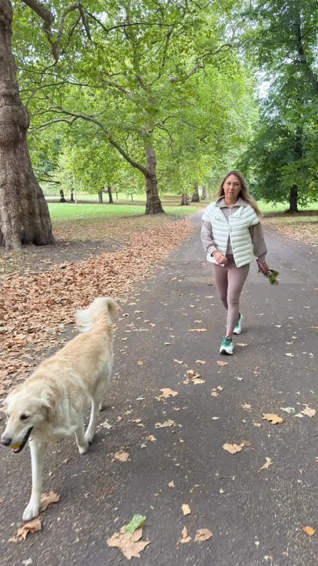 Post 7 by Cotes of London on Instagram (video)