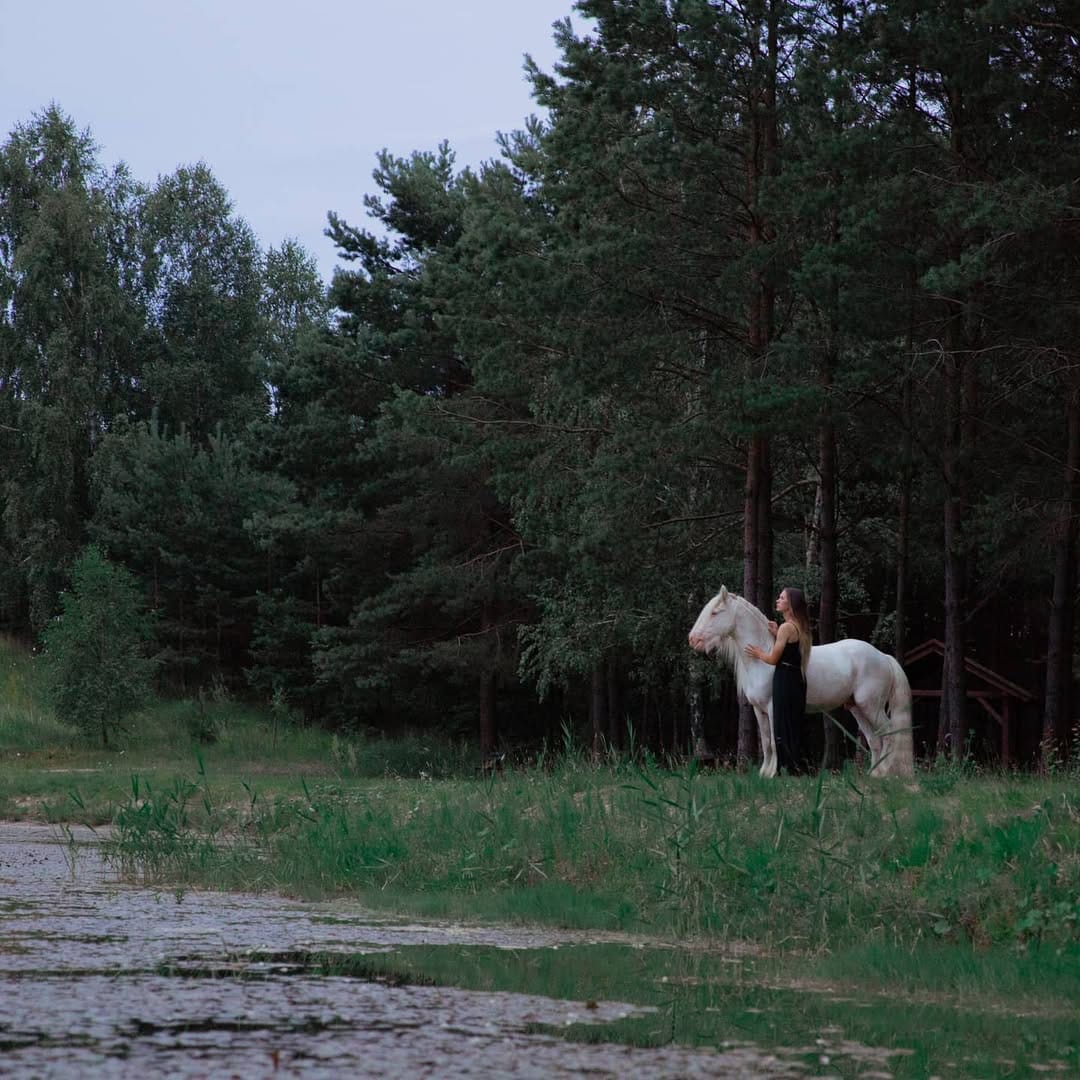 Post 10 by Baileys, Stallion on Instagram (image)