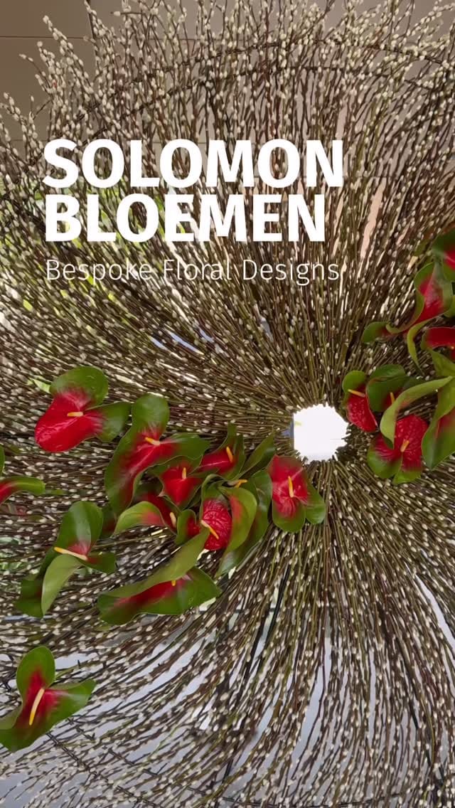 Post 10 by SOLOMON BLOEMEN on Instagram (video)