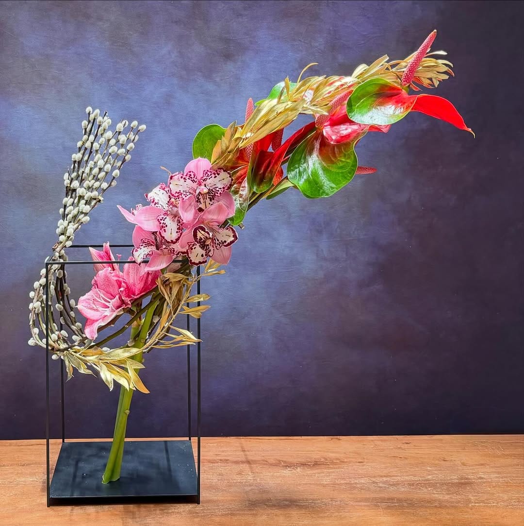 Post 7 by SOLOMON BLOEMEN on Instagram (image)
