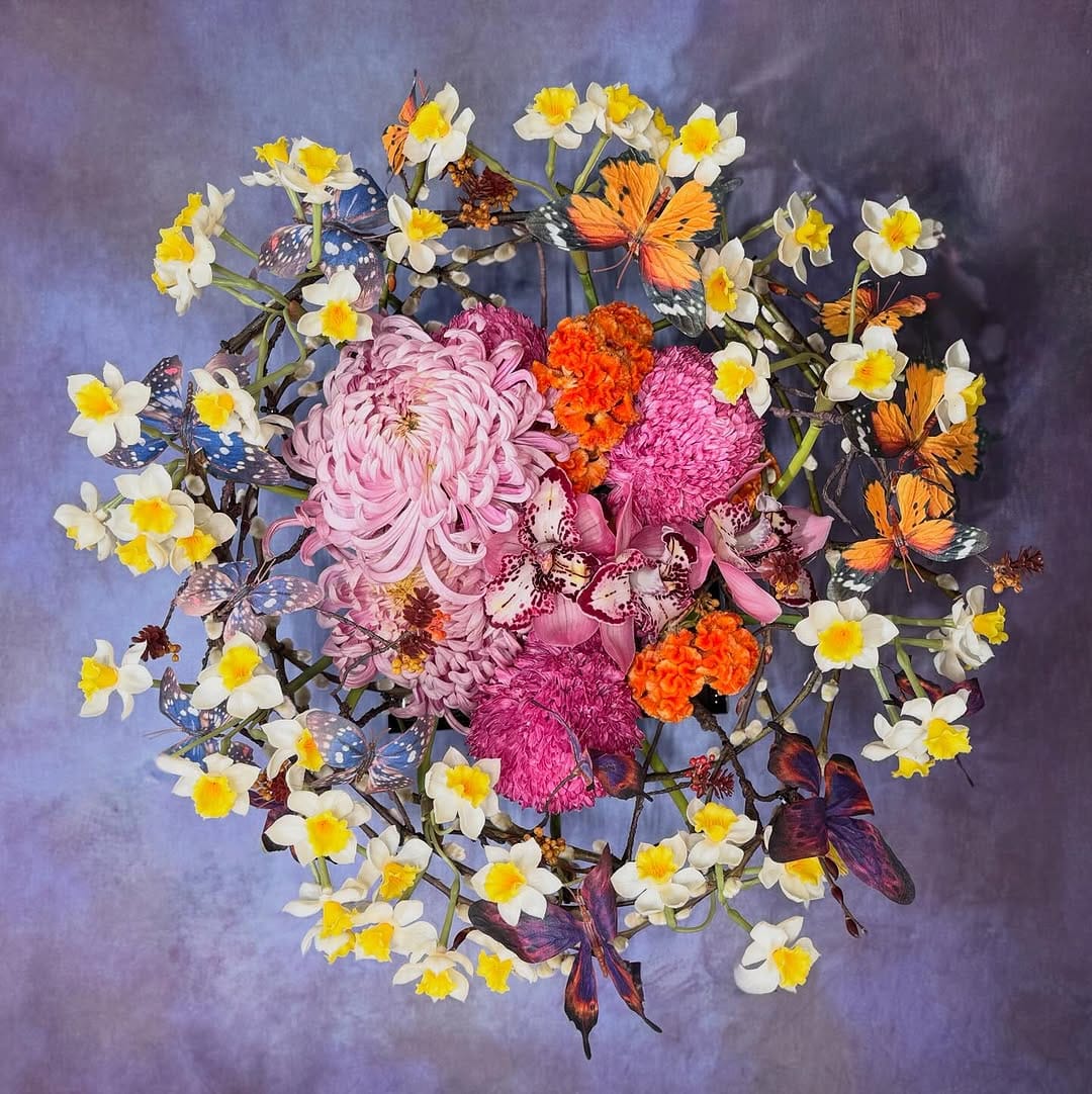 Post 5 by SOLOMON BLOEMEN on Instagram (carousel)