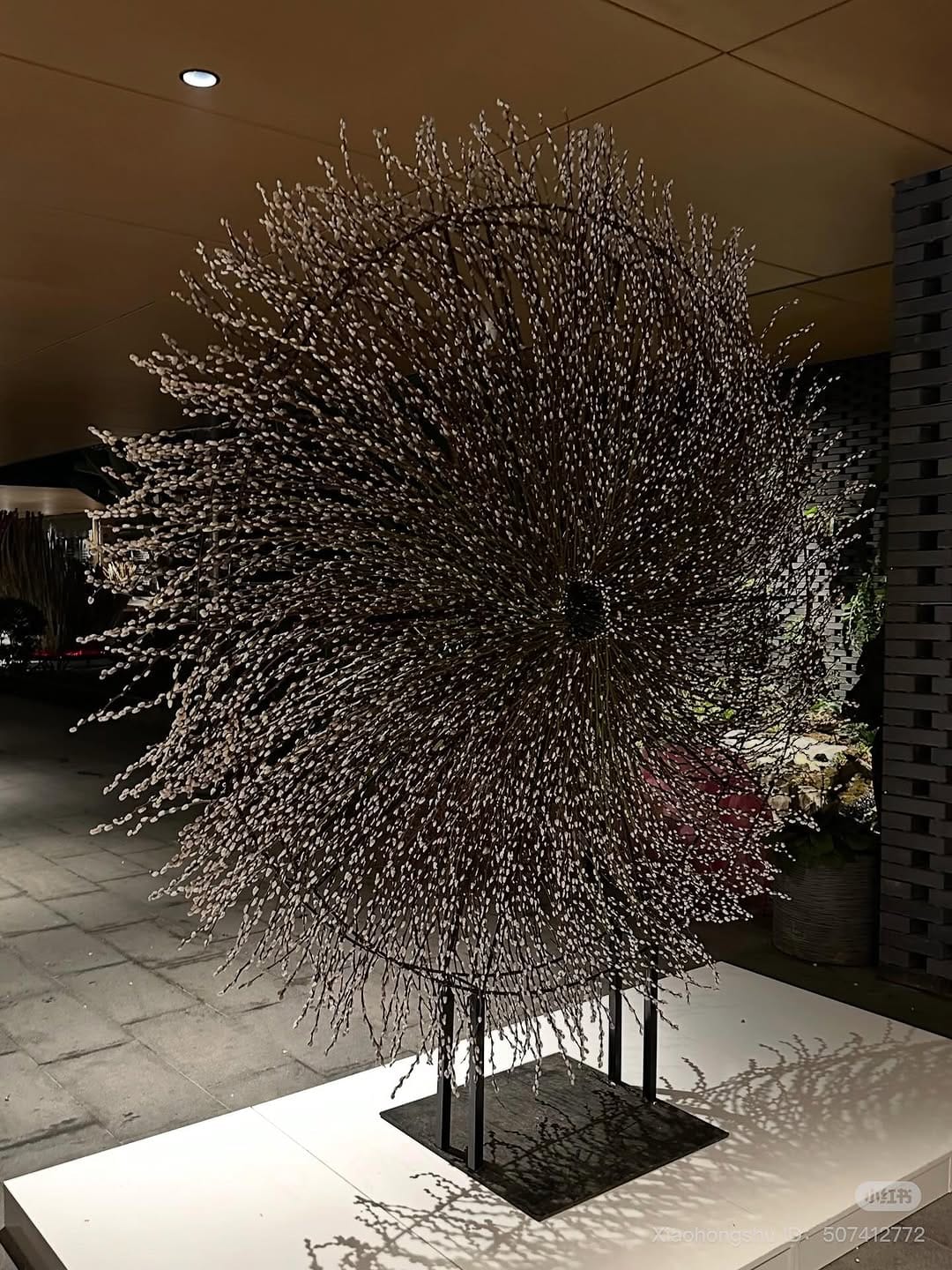 Post 3 by SOLOMON BLOEMEN on Instagram (image)