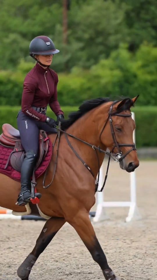 Post 1 by LUXURY & AFFORDABLE - HORSE & RIDER WEAR on Instagram (video)
