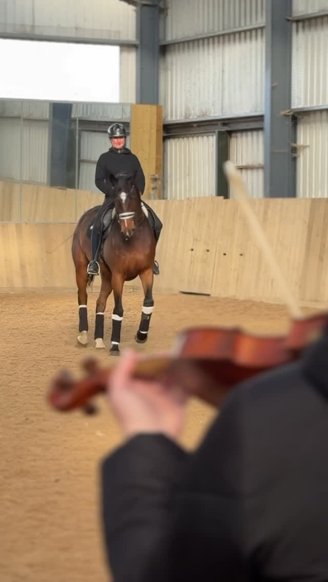 Post 3 by LUXURY & AFFORDABLE - HORSE & RIDER WEAR on Instagram (video)