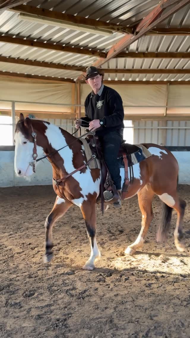 Post 8 by LUXURY & AFFORDABLE - HORSE & RIDER WEAR on Instagram (video)