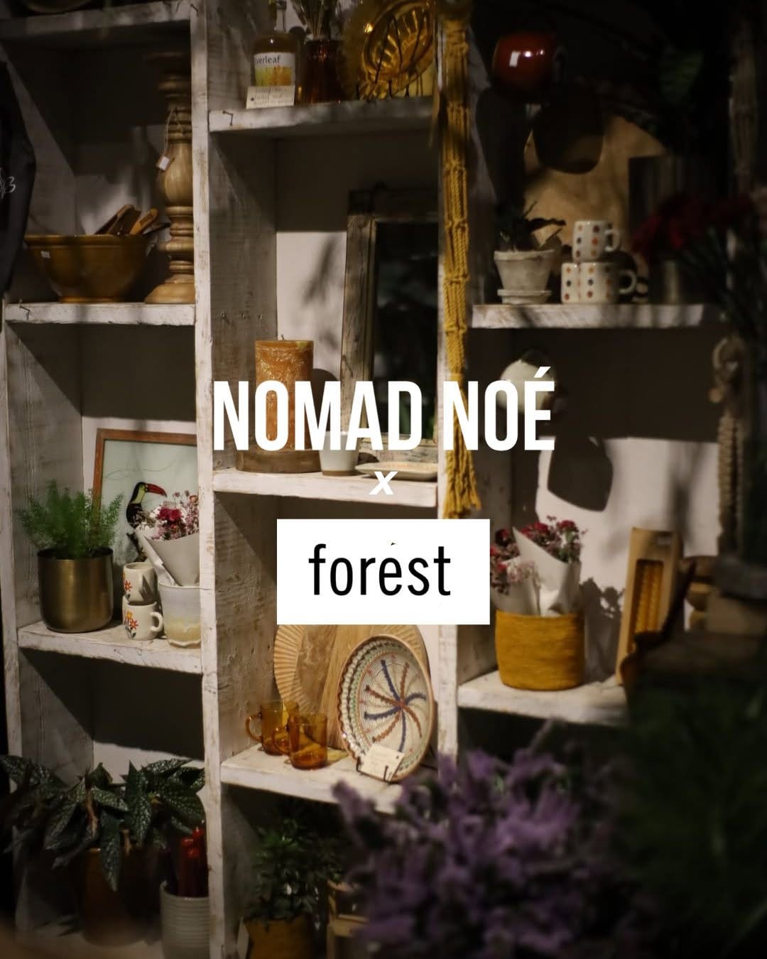 Post 6 by Forest 🌿 on Instagram (video)