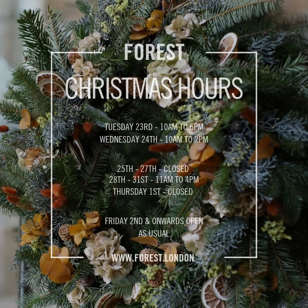 Post 2 by Forest 🌿 on Instagram (image)