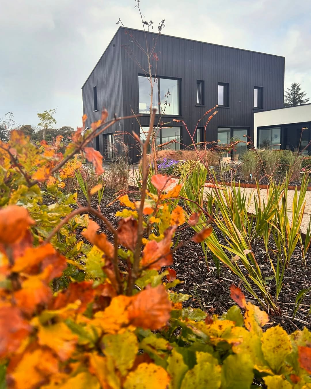 Post 8 by Niamh & Gary | Location House on Instagram (image)