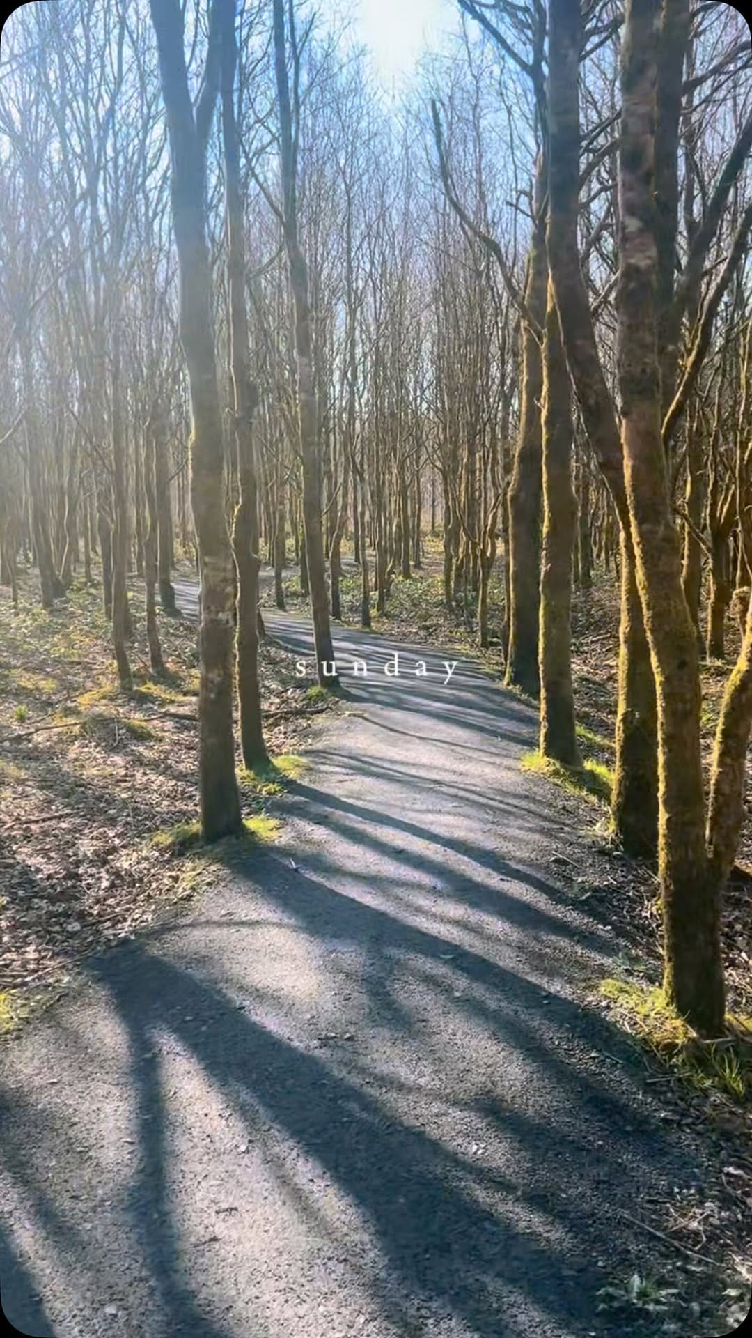 Post 6 by Niamh & Gary | Location House on Instagram (video)