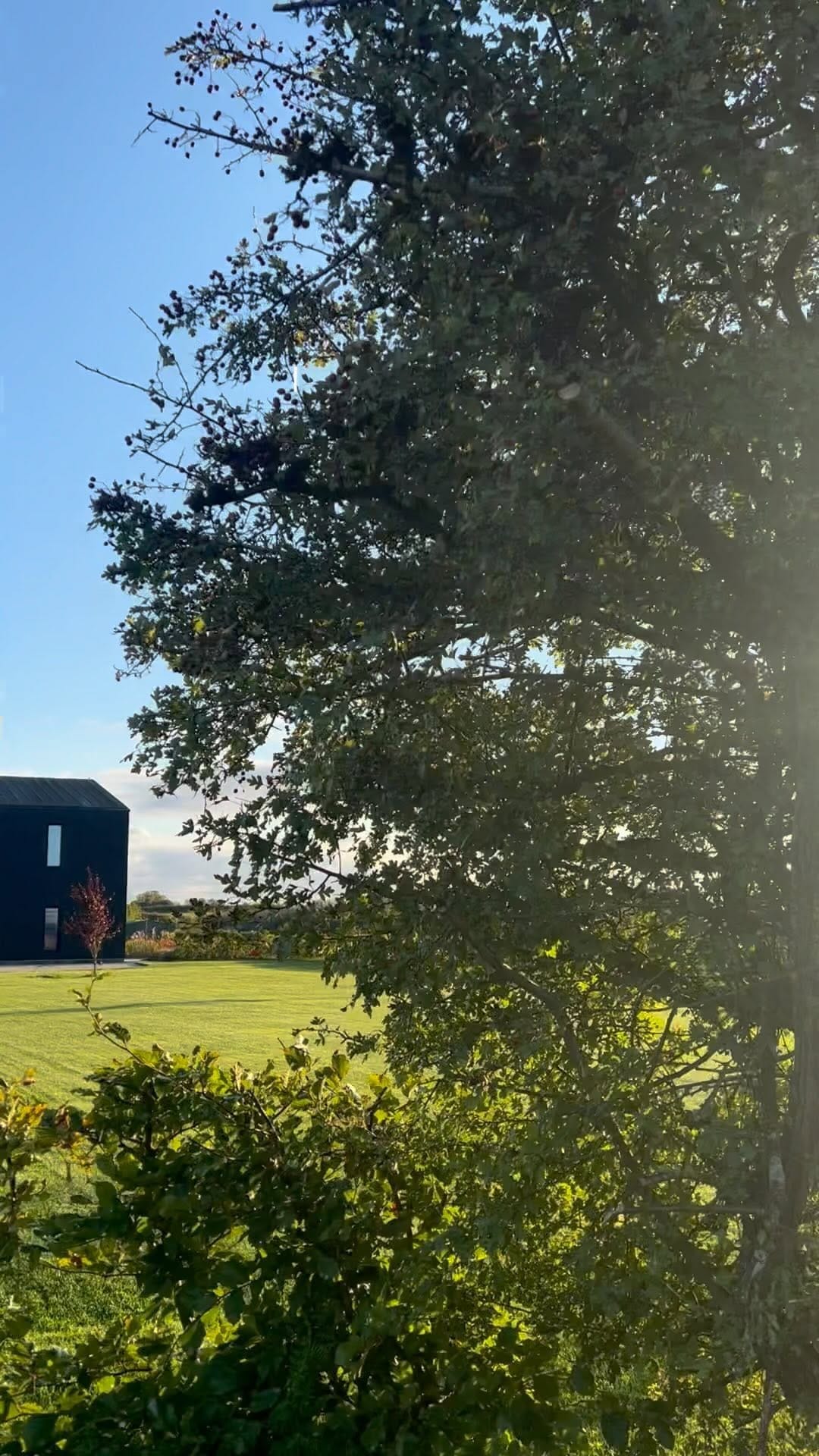 Post 7 by Niamh & Gary | Location House on Instagram (video)