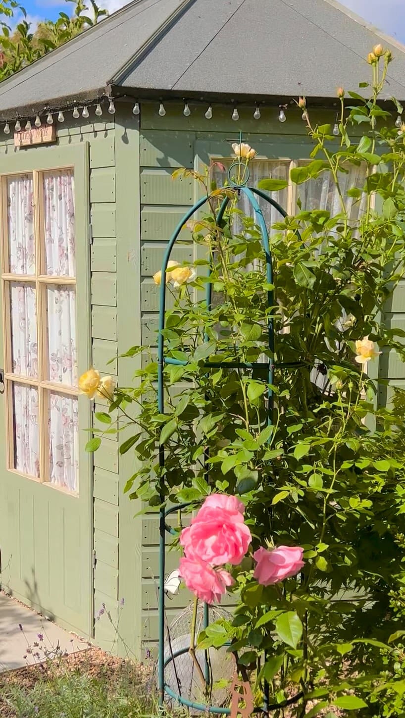 Post 5 by 🍃🌸 𝔸𝕟𝕘𝕚𝕖 🍃🌸 on Instagram (video)