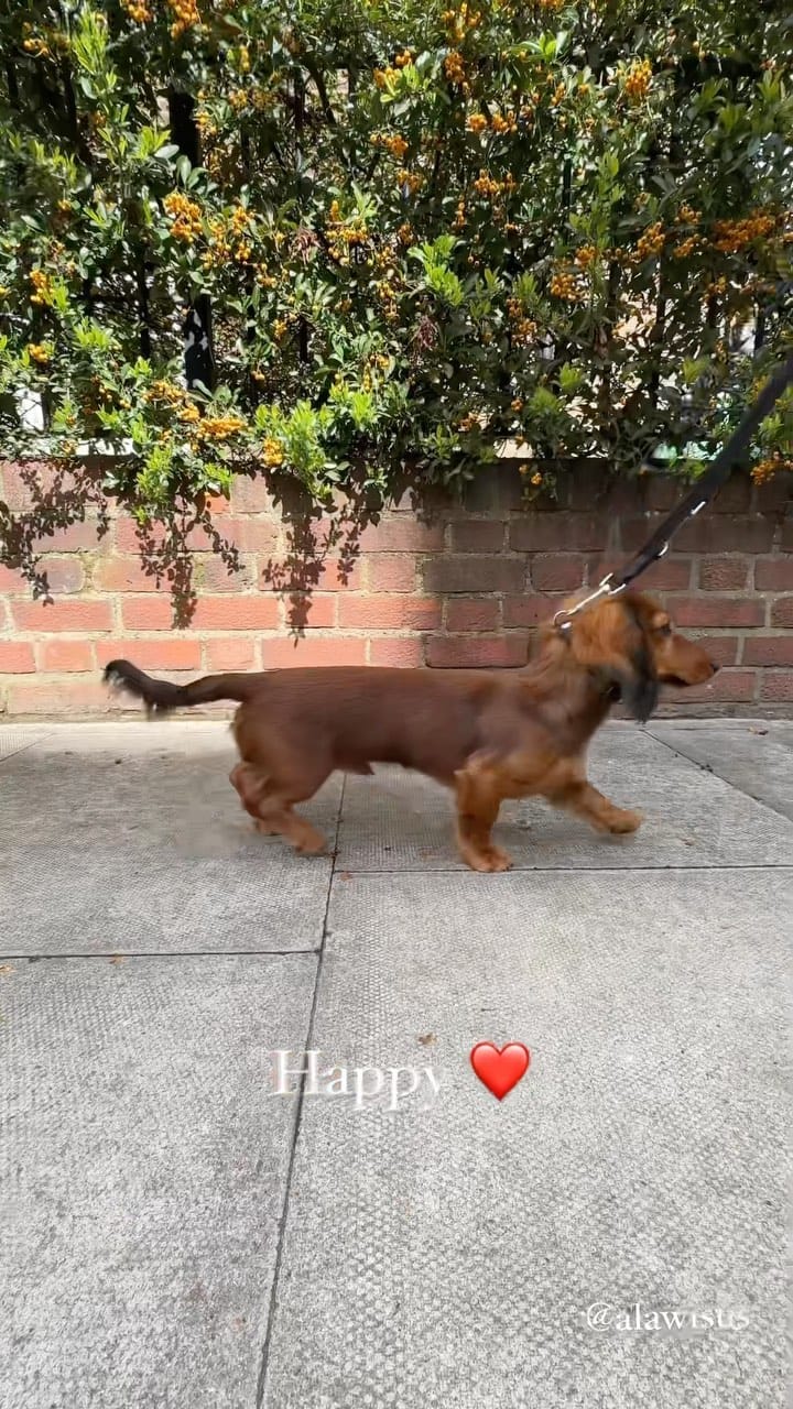 Post 1 by Cassandra Verity Green on Instagram (video)