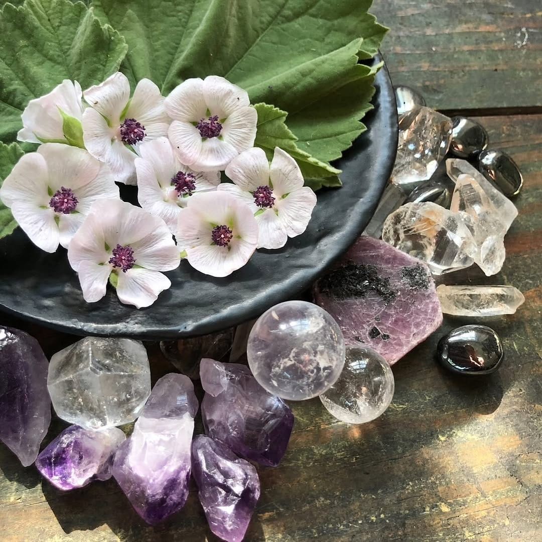 Post 10 by Bex✨Cattail Apothecary on Instagram (image)