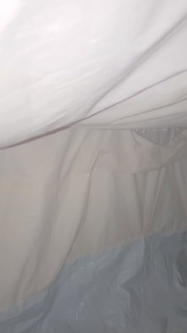 Post 2 by Ada Zanditon Couture on Instagram (video)