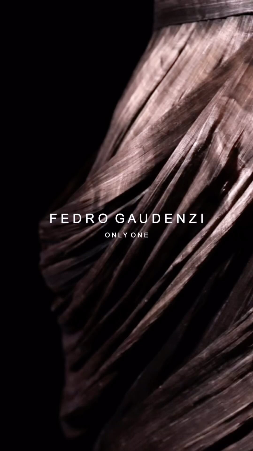 Post 3 by FEDRO GAUDENZI on Instagram (video)