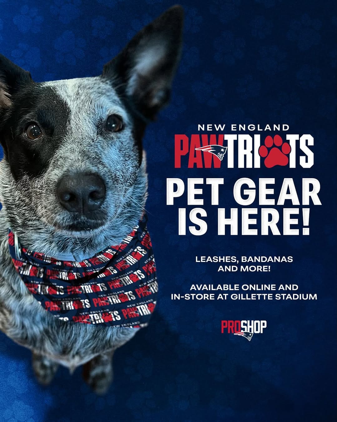 Post 5 by Patriots ProShop on Instagram (image)