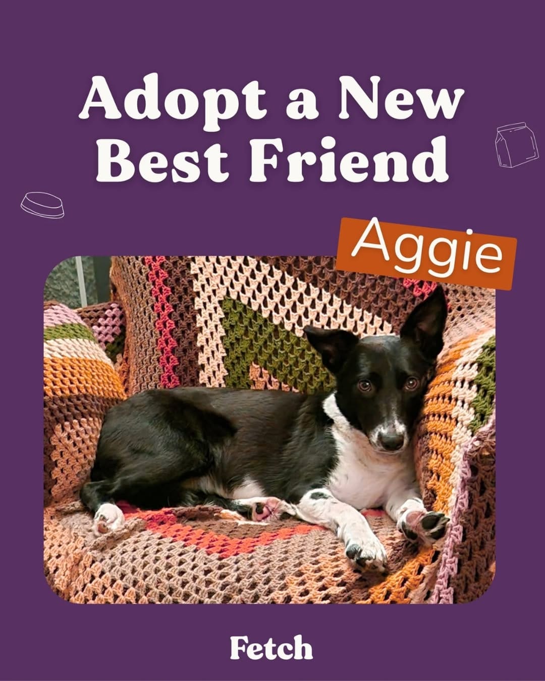 Post 1 by Fetch Your Pet Needs - Pet Shop on Instagram (carousel)