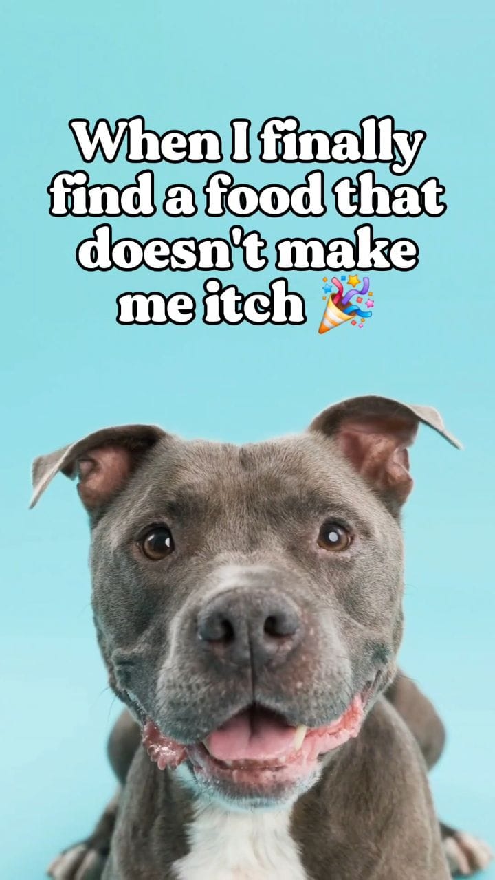 Post 2 by Fetch Your Pet Needs - Pet Shop on Instagram (video)