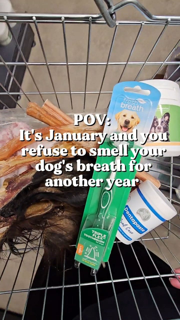 Post 7 by Fetch Your Pet Needs - Pet Shop on Instagram (video)