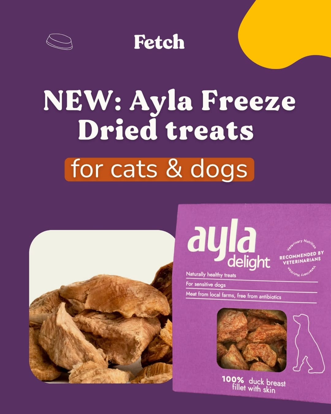 Post 3 by Fetch Your Pet Needs - Pet Shop on Instagram (carousel)