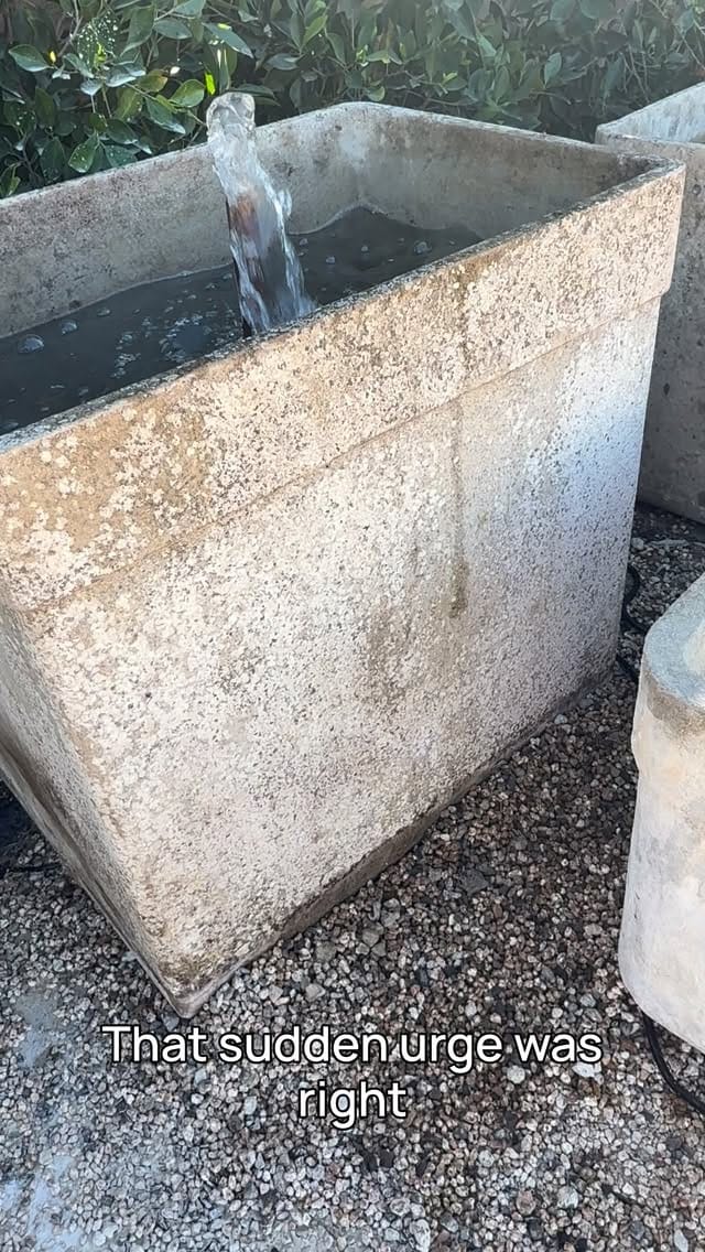 Post 6 by Vintage Home Decor- Antique Limestone - Indoor Plants on Instagram (video)