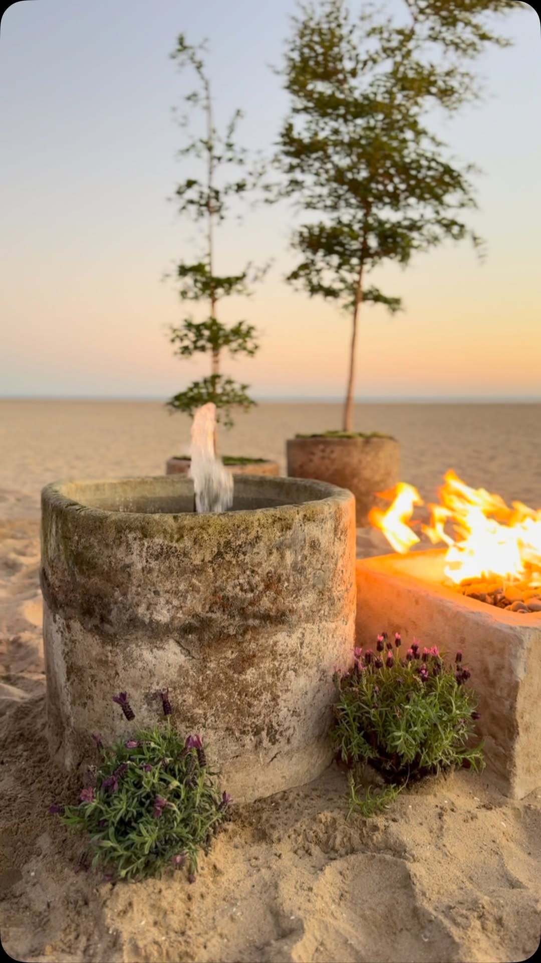 Post 10 by Vintage Home Decor- Antique Limestone - Indoor Plants on Instagram (video)