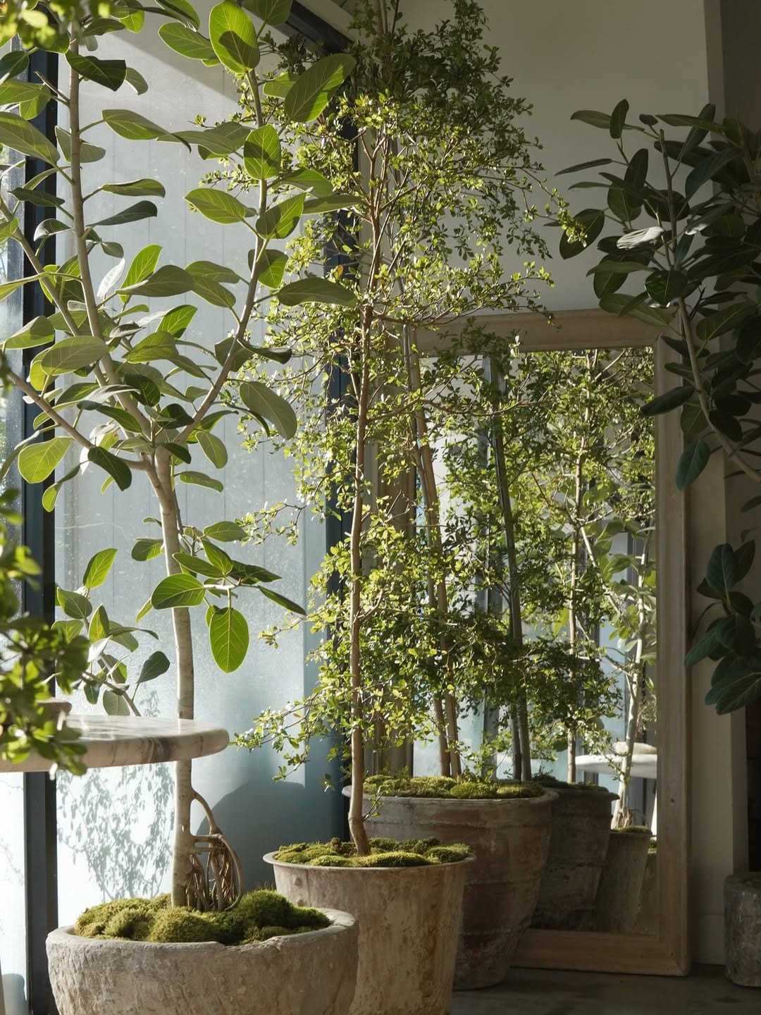 Post 7 by Vintage Home Decor- Antique Limestone - Indoor Plants on Instagram (carousel)