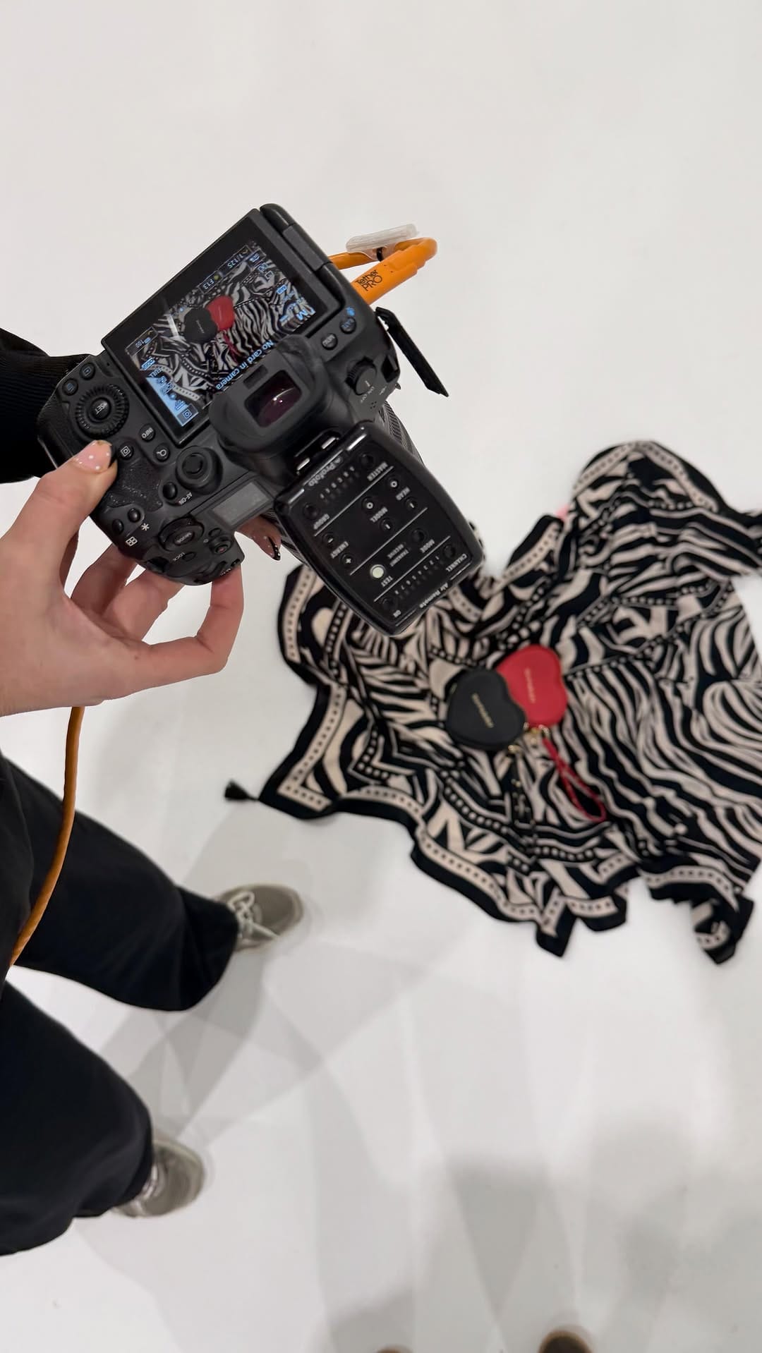 Post 6 by Scamp & Dude® on Instagram (video)