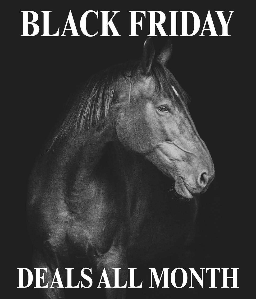 Post 9 by EQUUS ENGLAND on Instagram (carousel)