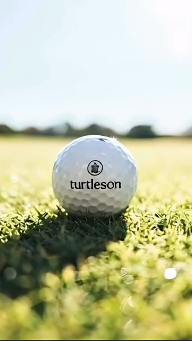 Post 3 by turtleson on Instagram (video)