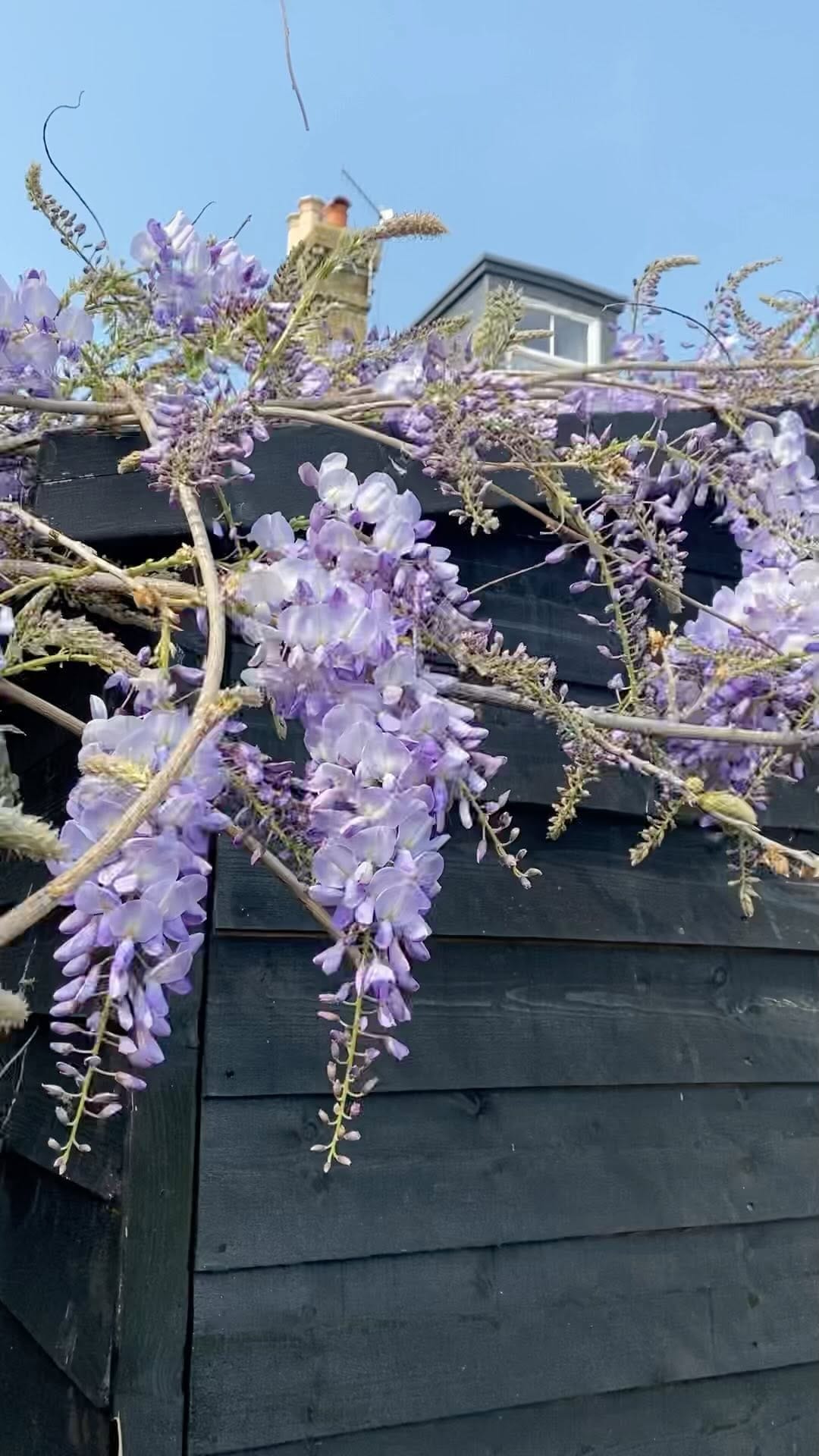 Post 3 by Claire on Instagram (video)