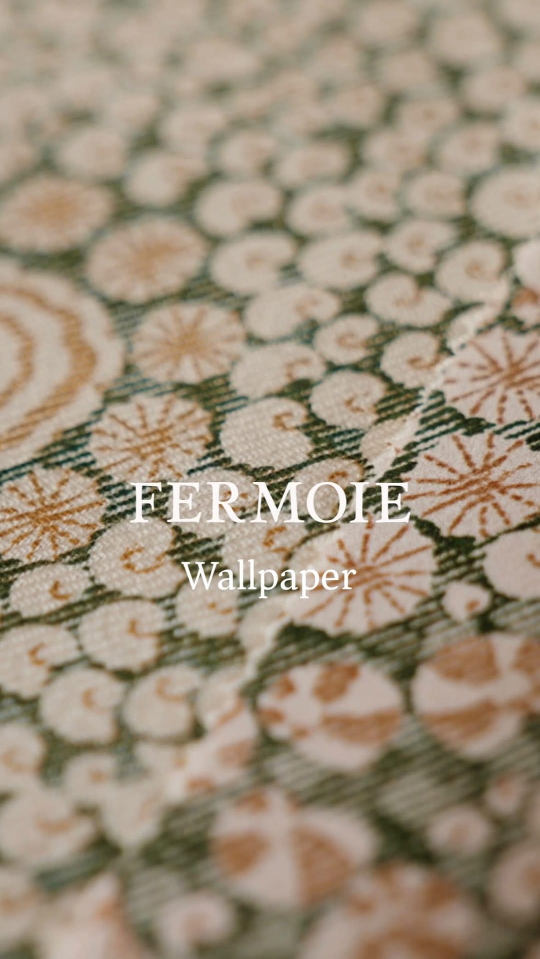 Post 4 by Fermoie on Instagram (video)