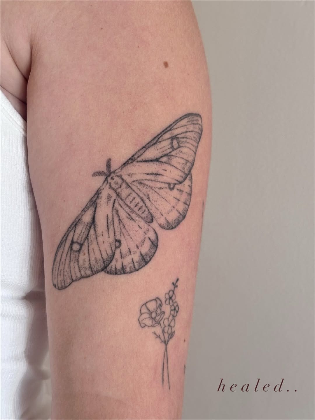 Post 8 by Fineline Handpoked Tattoos Newcastle on Instagram (carousel)